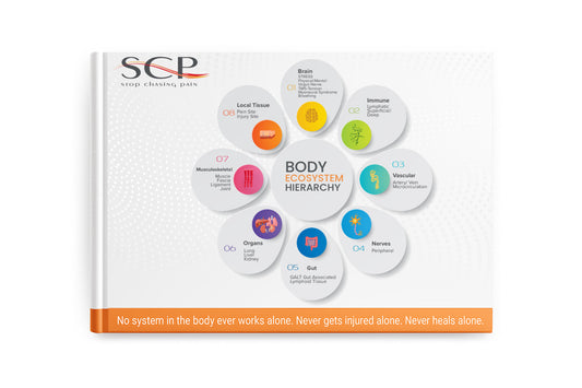 The Body Ecosystem Hierarchy